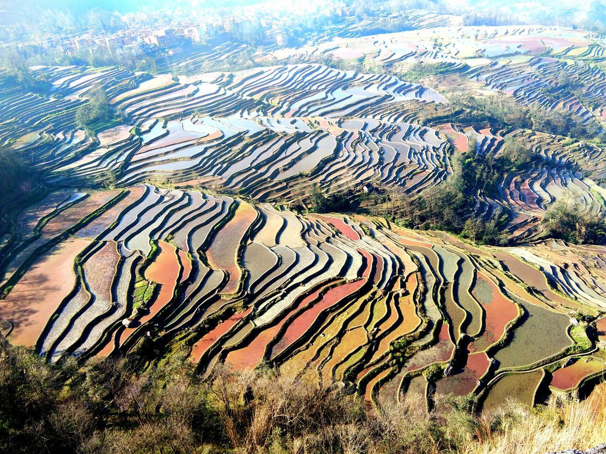 Belinda Backpackers Guesthouse Yuanyang  Eksteriør bilde