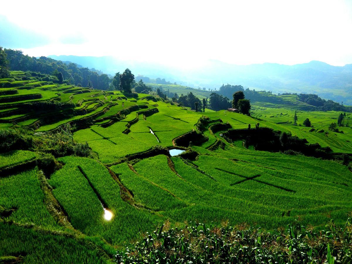 Belinda Backpackers Guesthouse Yuanyang  Eksteriør bilde